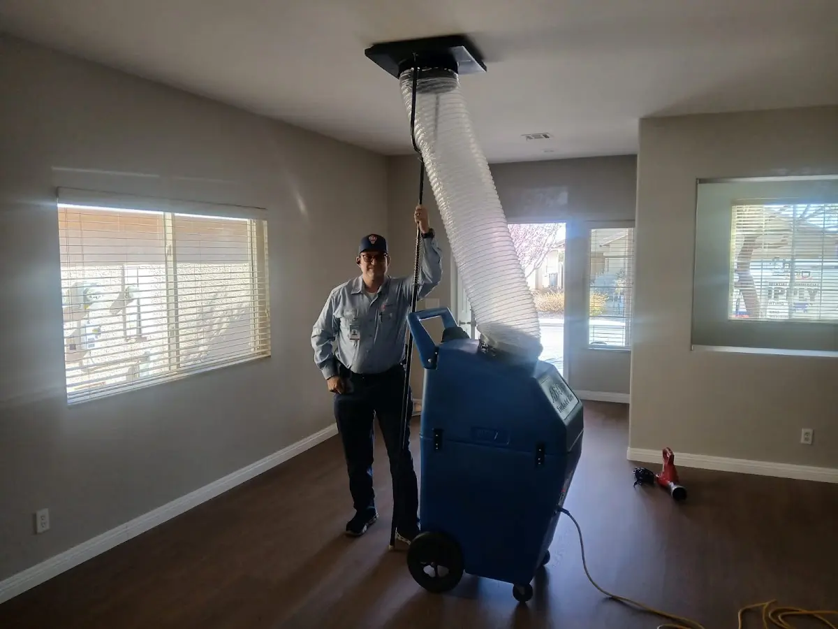 Professional Dryer Vent Cleaning work inside a Hales Corners home